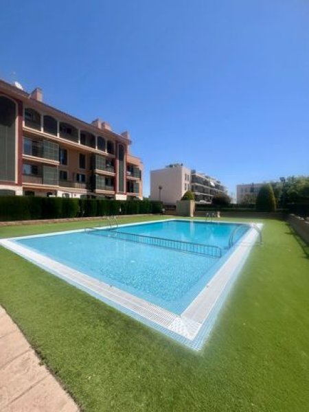 Palma-Llevant Nou