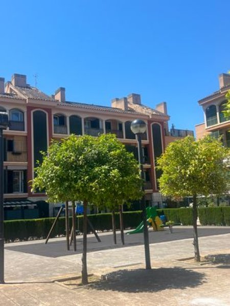 Palma-Llevant Nou