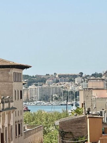 Piso en Palma con terraza en el casco antiguo.