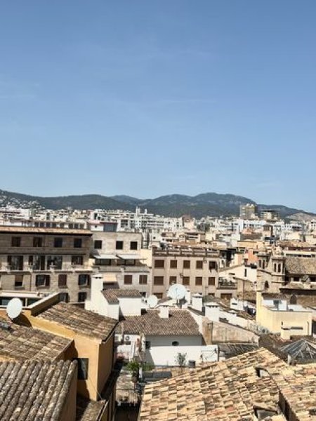 Piso en Palma con terraza en el casco antiguo.
