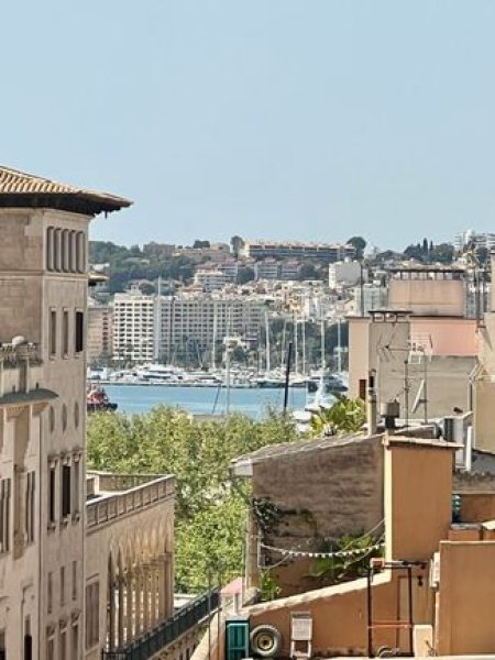 Piso en Palma con terraza en el casco antiguo.
