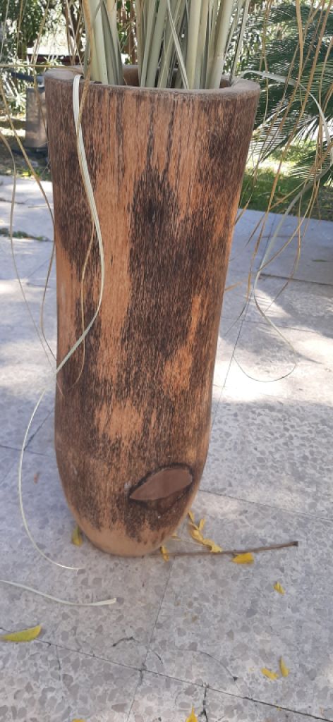 Palm vase