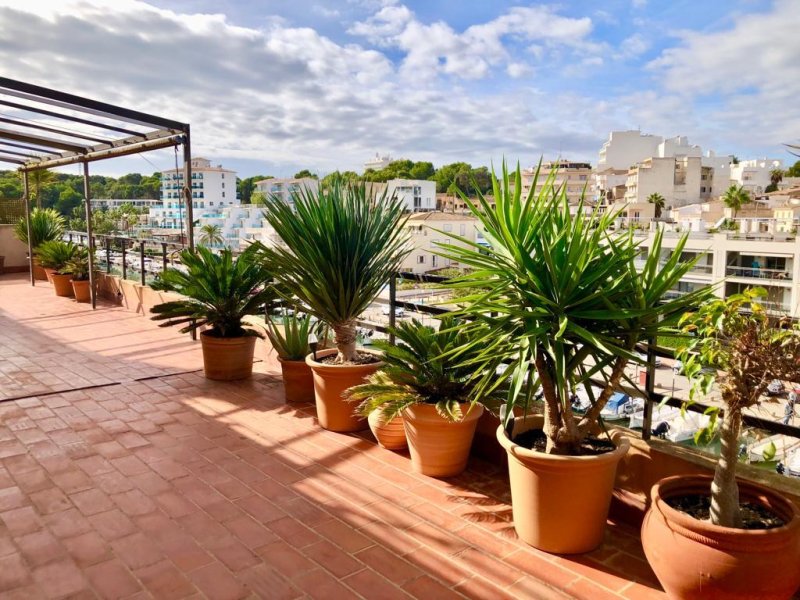 Penthouse Dachgeschoss am Hafen von Porto Cristo