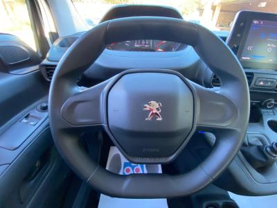 Peugeot Rifter Combi Active Business 1.5BHDI 102CV 5P