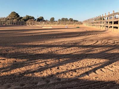 Pferdeeinstellplätze frei – Offenstall bei Algaida (15 Min. von Palma)