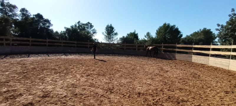 Pferdeeinstellplätze frei – Offenstall bei Algaida (15 Min. von Palma)