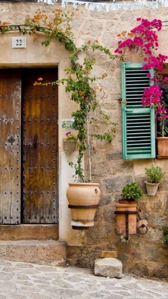 Care for Your Property