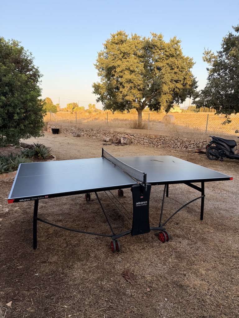 Pingpong Tisch