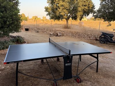 Ping-pong table