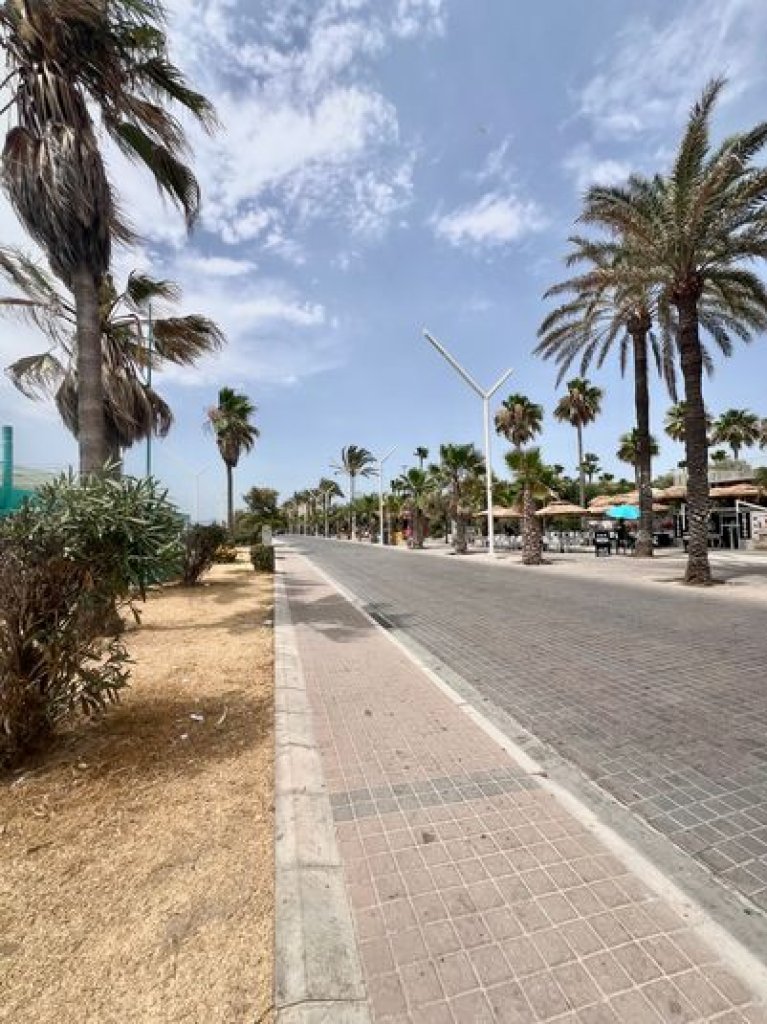Playa de Palma - Vermietung
