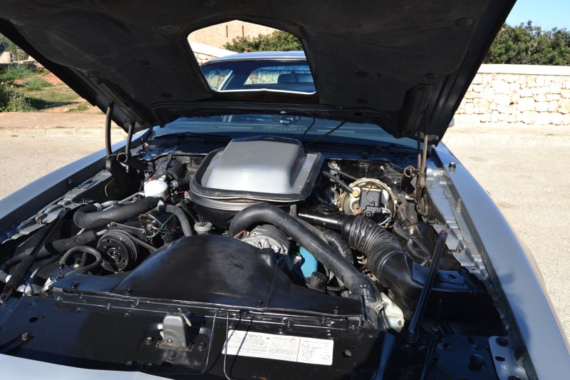 Pontiac Firebird Trans Am. !! Original 10800mls nachweisbar !! Klima / Targa