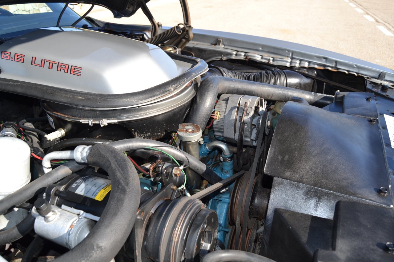 Pontiac Firebird Trans Am. !! Original 10800mls nachweisbar !! Klima / Targa