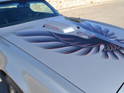 Pontiac Firebird Trans Am. !! Original 10800mls nachweisbar !! Klima / Targa