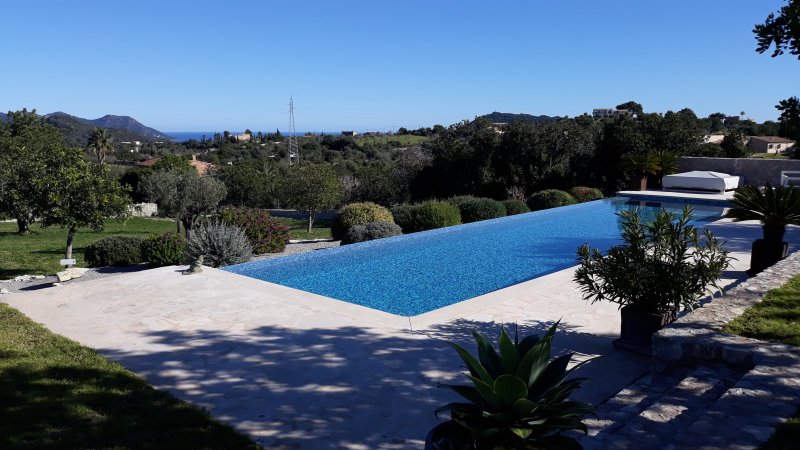 Poolreinigung