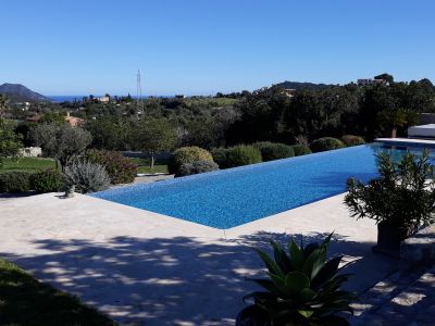 Poolreinigung