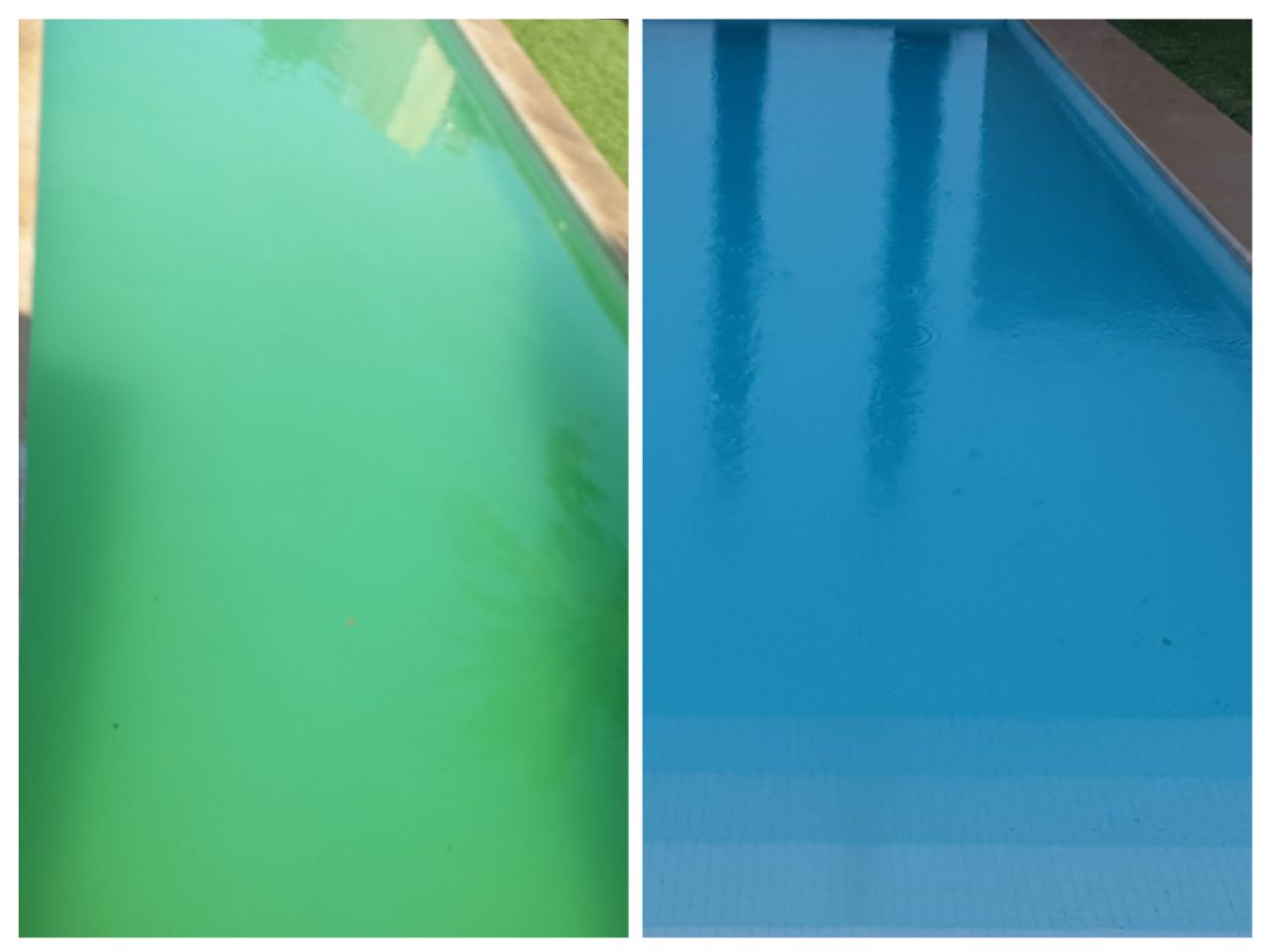 Poolreinigung Poolpflege