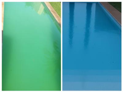 Poolreinigung Poolpflege