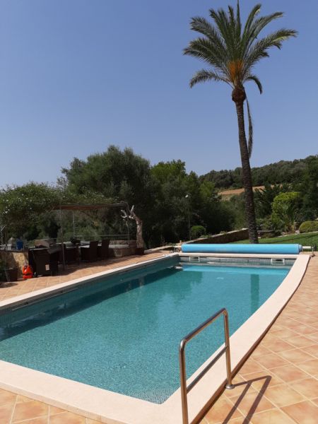 Poolreinigung Poolpflege