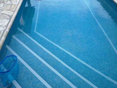 Poolreinigung Poolpflege