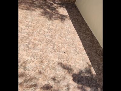 Poolsanierung neue fliesen oder poolfolie oder beschichtung