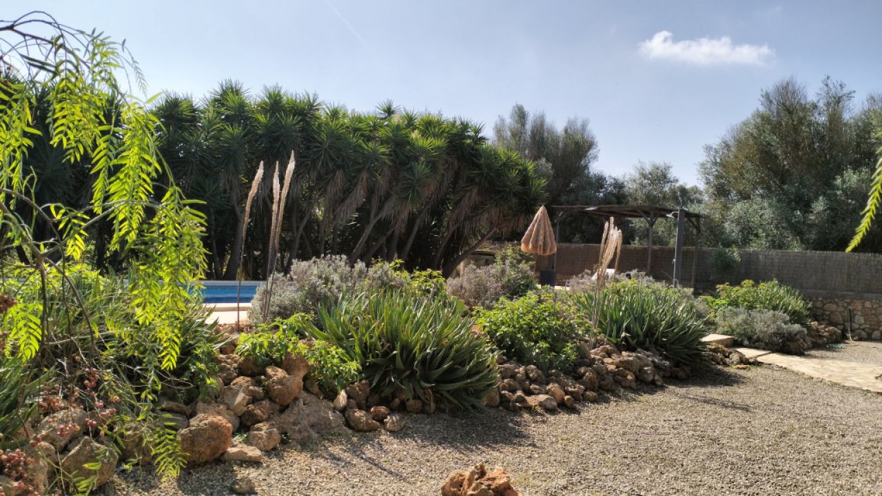 PORRERES: Charmantes ländliches Anwesen mit Ferienvermietungslizenz (ETV), Brunnen und Weinstöcken