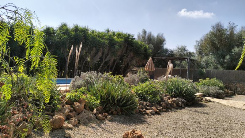 PORRERES: Charmantes ländliches Anwesen mit Ferienvermietungslizenz (ETV), Brunnen und Weinstöcken