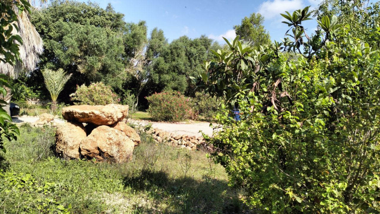 PORRERES: Charmantes ländliches Anwesen mit Ferienvermietungslizenz (ETV), Brunnen und Weinstöcken