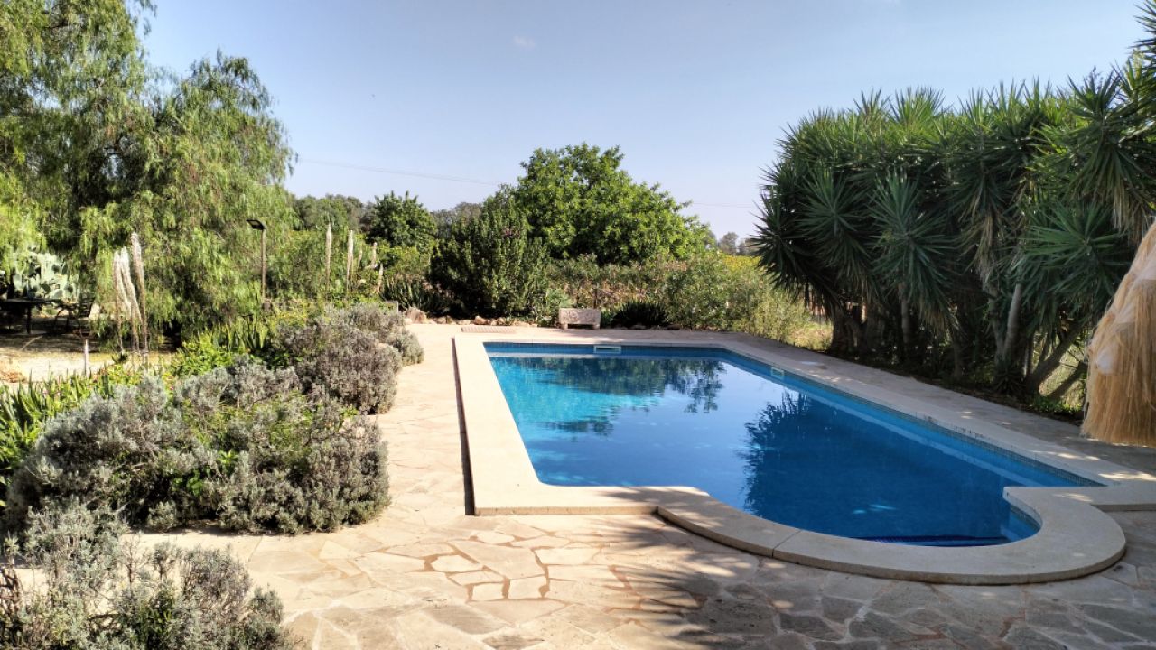 PORRERES: Charmantes ländliches Anwesen mit Ferienvermietungslizenz (ETV), Brunnen und Weinstöcken