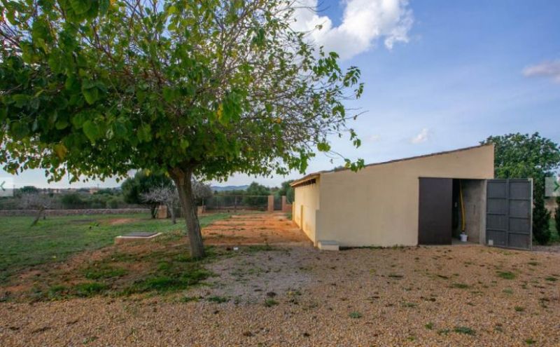 PORTOCRISTO: Gepflegte Landfinca mit Ferienvermietungslizenz für 8 Personen (nur VK)