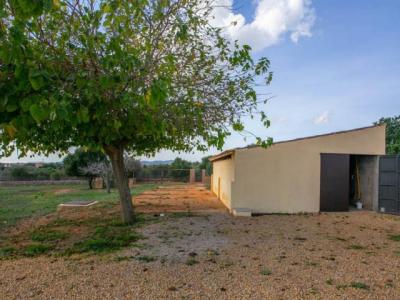 PORTOCRISTO: Gepflegte Landfinca mit Ferienvermietungslizenz für 8 Personen (nur VK)