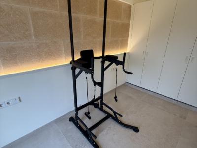 Power Tower Dip Station Sporttower Fitness Homegym