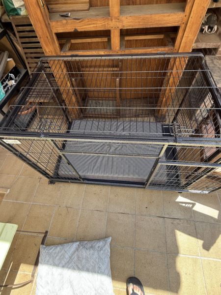 Prima Welpen Box von Pawhut