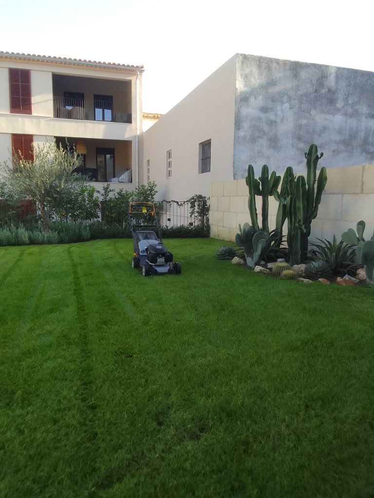 Professional gardener