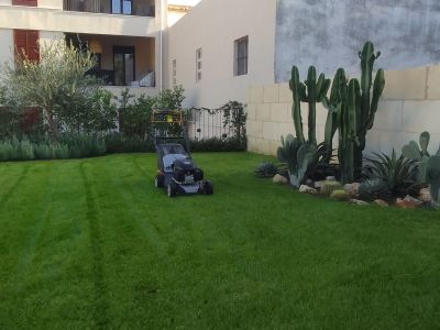 Professional gardener