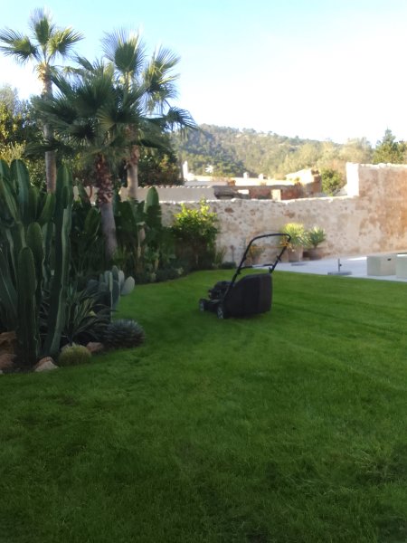 Professional gardener