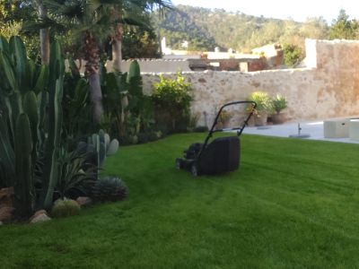 Professional gardener