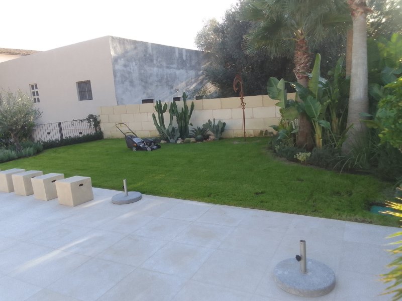 Professional gardener