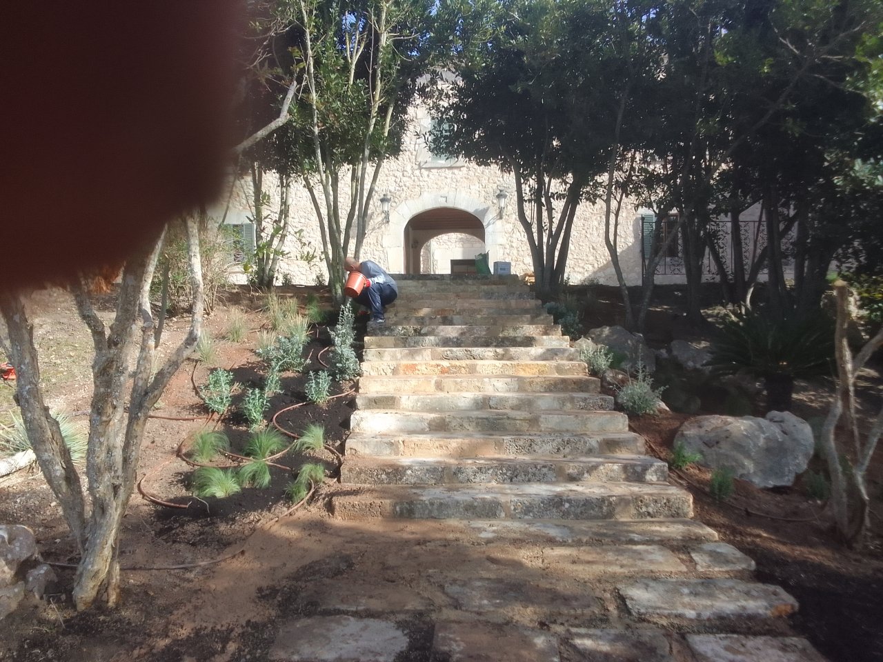 Professional gardener
