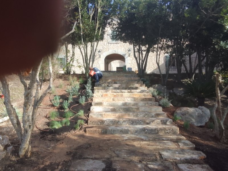 Professional gardener