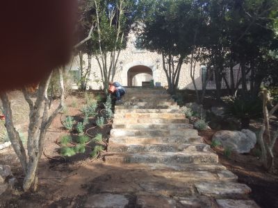 Professional gardener