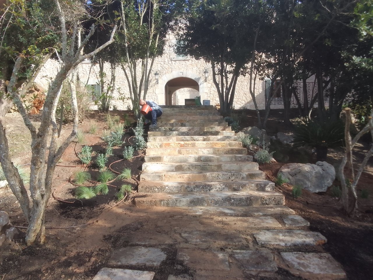 Professional gardener
