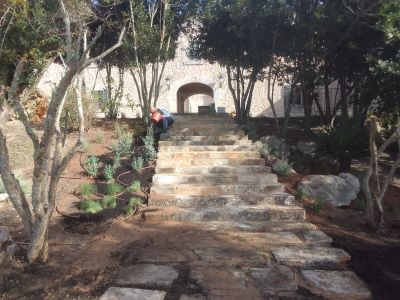 Professional gardener
