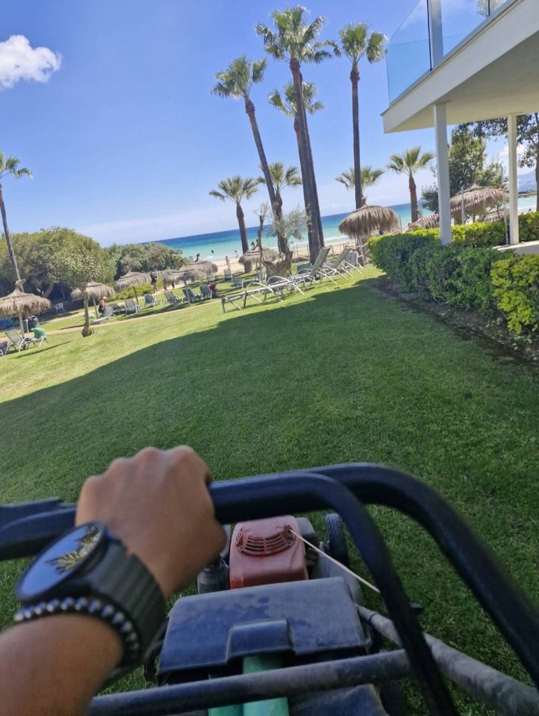 Professioneller Garten- und Poolservice auf der ganzen Insel