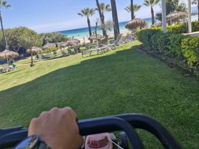 Professioneller Garten- und Poolservice auf der ganzen Insel