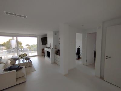 Professioneller Maler sucht Aufträge auf Mallorca (Palma & Umgebung)