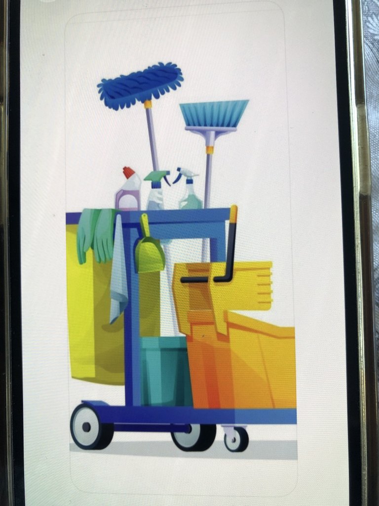 Reinigungskraft