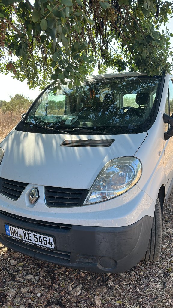 Renault Trafic 2.0 dCi 115 furgoneta bien cuidada en venta