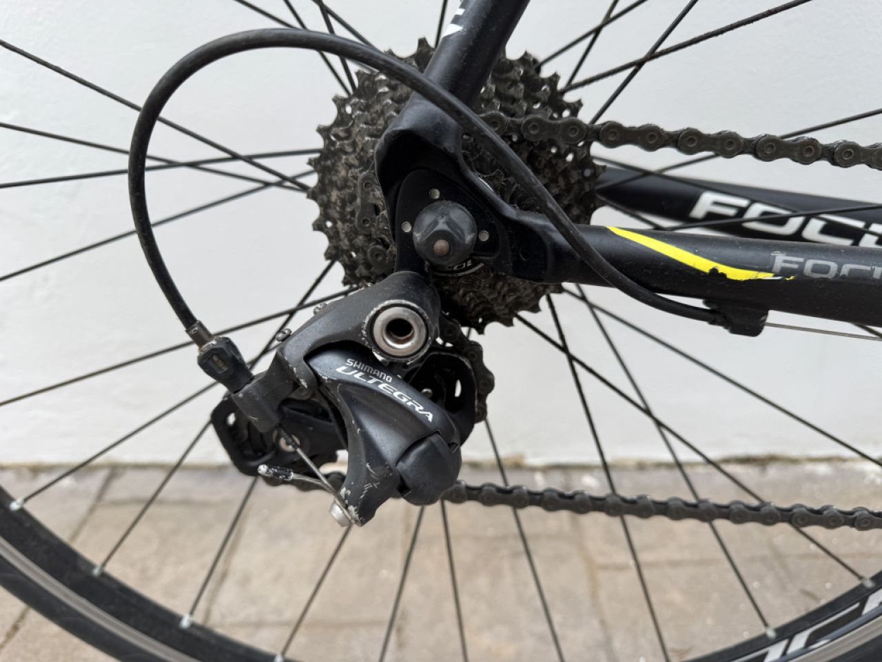 Rennrad der Marke Focus zu verkaufen