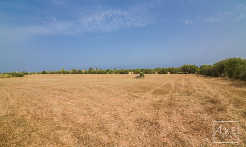 Renovierungsobjekt auf 36.000 m²  Ideal für Pferdehaltung