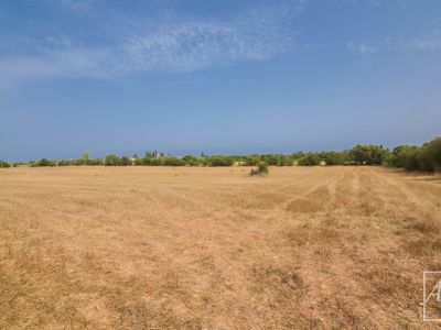 Renovierungsobjekt auf 36.000 m²  Ideal für Pferdehaltung